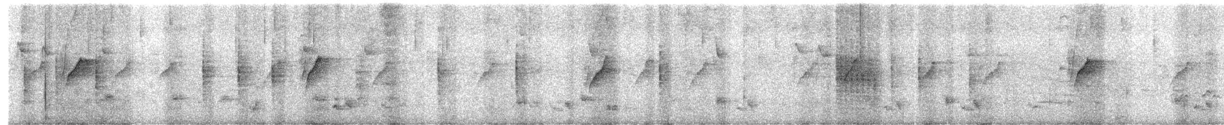 סבכי טוחנים - ML646957765