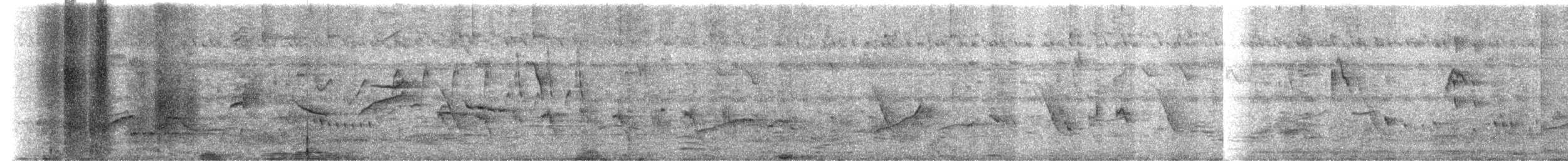 Oriental Magpie-Robin - ML646957839