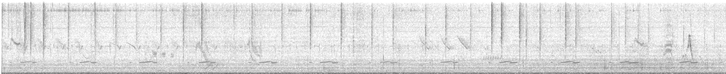 Barred Wren-Warbler - ML646957877