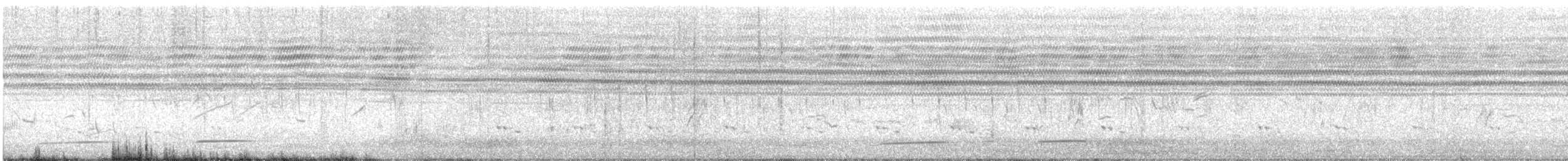 Black Cuckoo - ML646958046