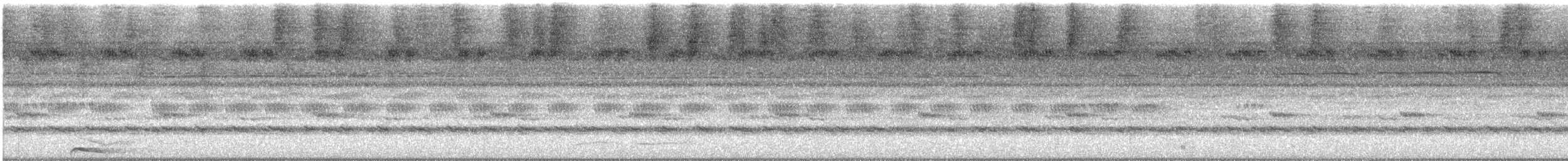 Collared Scops-Owl - ML646958131