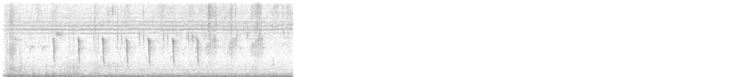 Black-chested Prinia - ML646958254