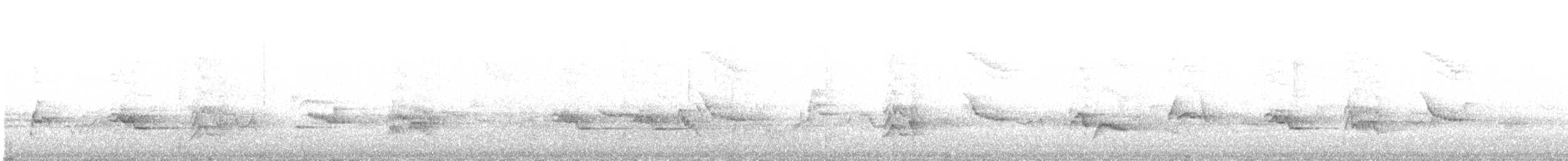 Дрізд південний - ML646959596