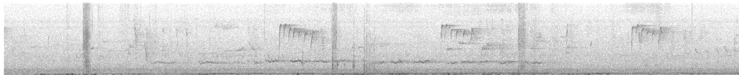 Красноспинный/Разноцветный малюр - ML646959627