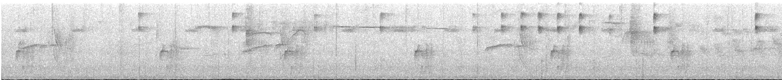 Superciliaried Hemispingus - ML646959648