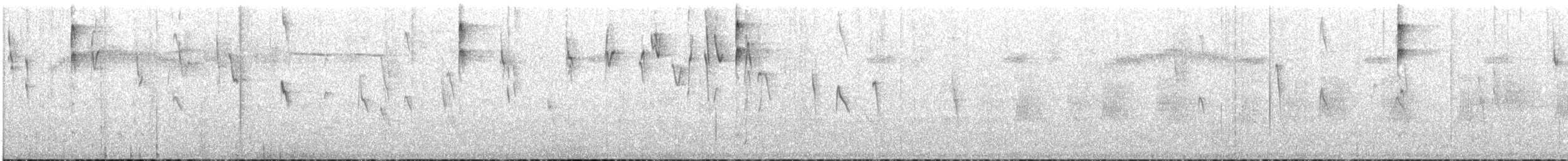 Superciliaried Hemispingus - ML646959649