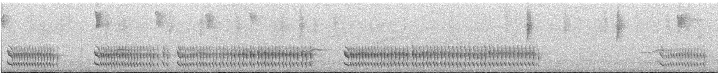 Tschudi's Tapaculo - ML646959694
