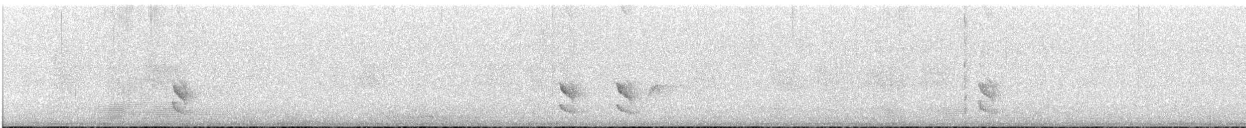 Tschudi's Tapaculo - ML646959695