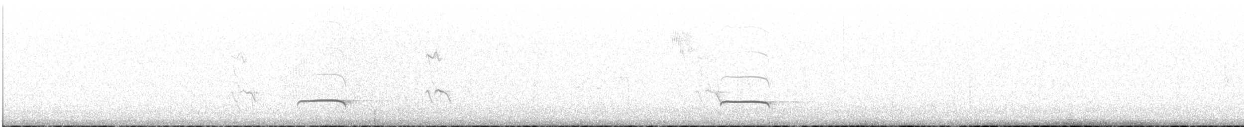 Streak-throated Bush-Tyrant - ML646959715