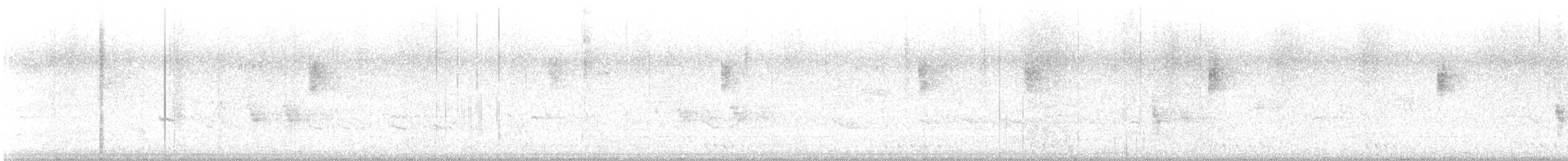 budníček severní - ML646959788