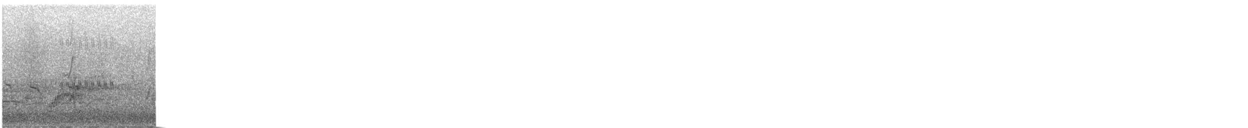 Nymphensittich - ML646959866