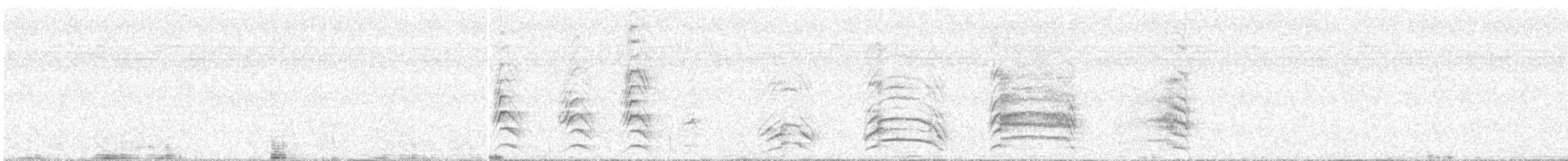 Carraca de Raquetas - ML646960291