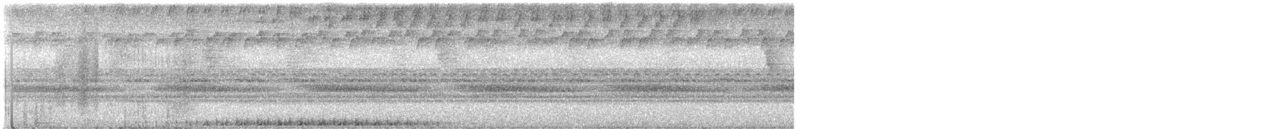 Band-bellied Owl - ML646960670