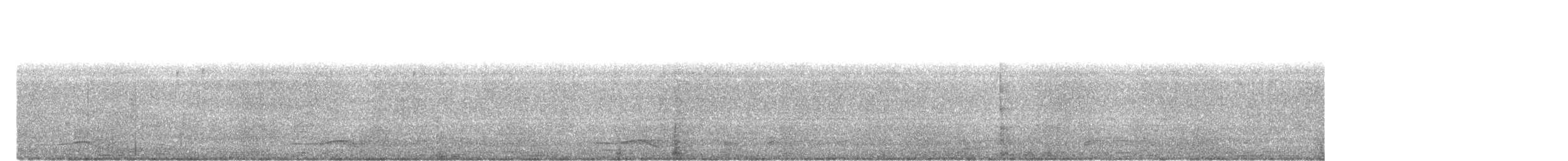 Asian Koel - ML646960683