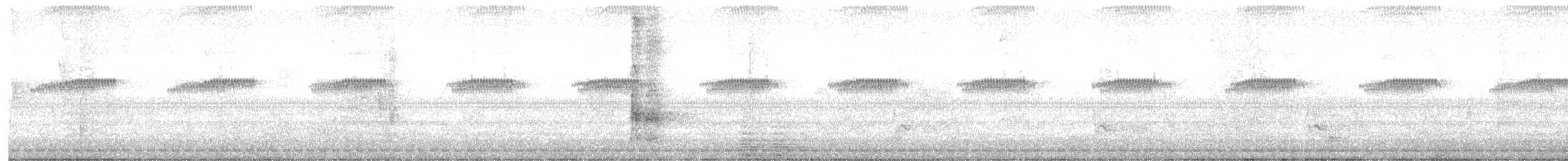 Carpintero Manchado - ML646960763