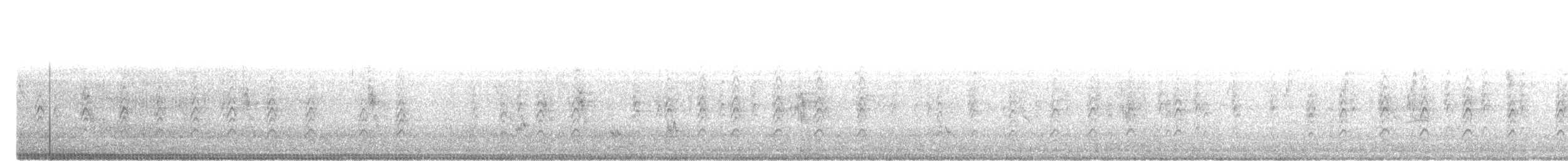 Artamo Ventriblanco - ML646960852