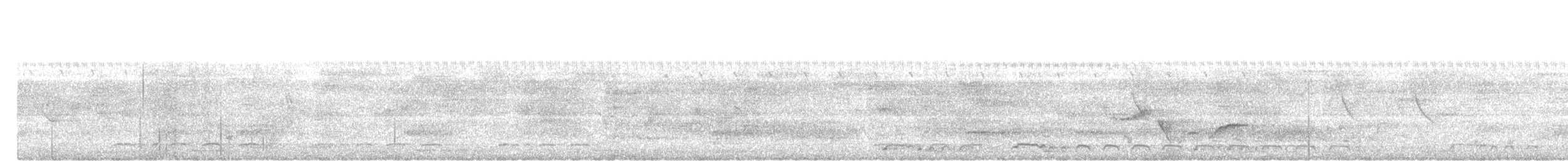 Common Iora - ML646960883