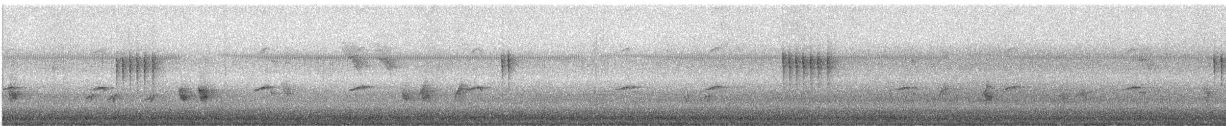 dvergfluesnapper - ML646961047