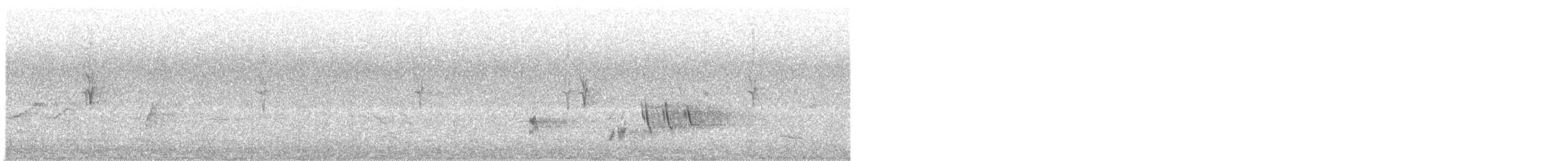 Australian Reed Warbler - ML646961490