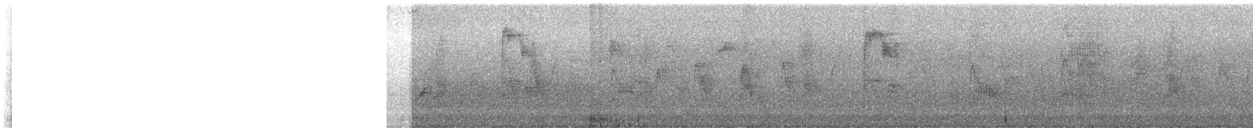 Black Bulbul - ML646961710