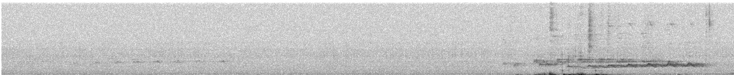 噪鵑 - ML646961762