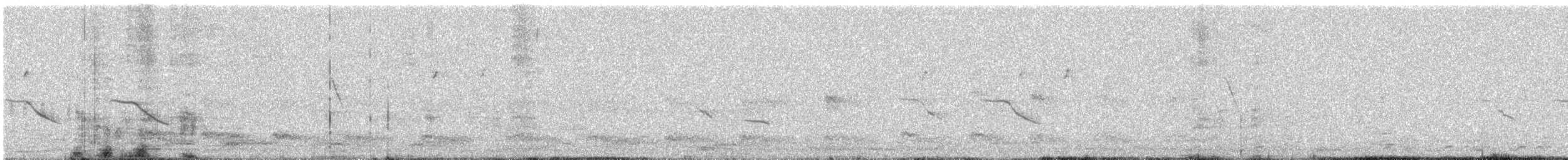 白腹秧雞 - ML646961913