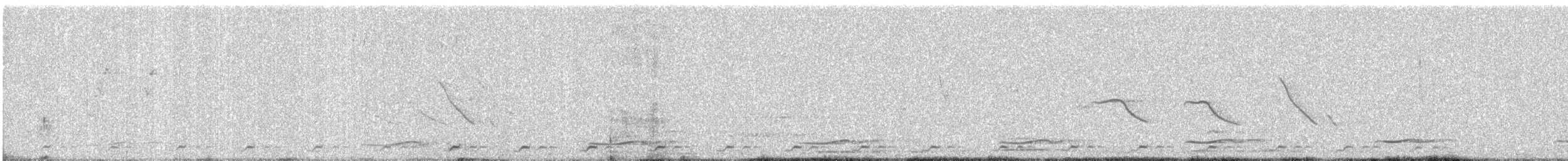 白腹秧雞 - ML646961916