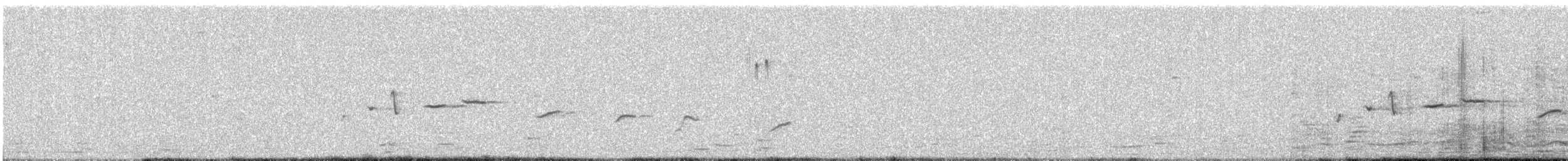 Spot-breasted Fantail - ML646961927