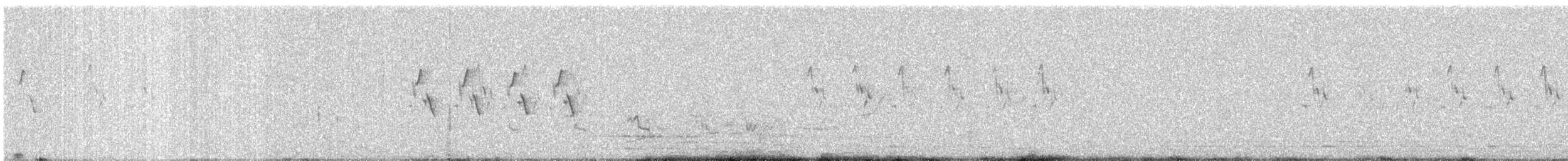 Ashy Prinia - ML646961936