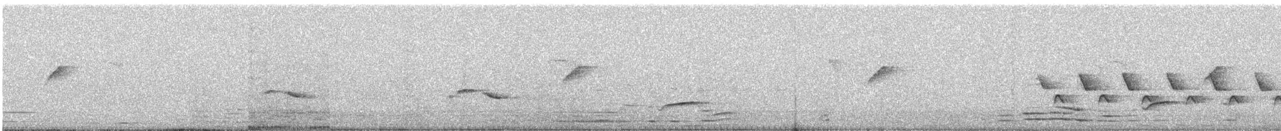 長尾縫葉鶯 - ML646961957