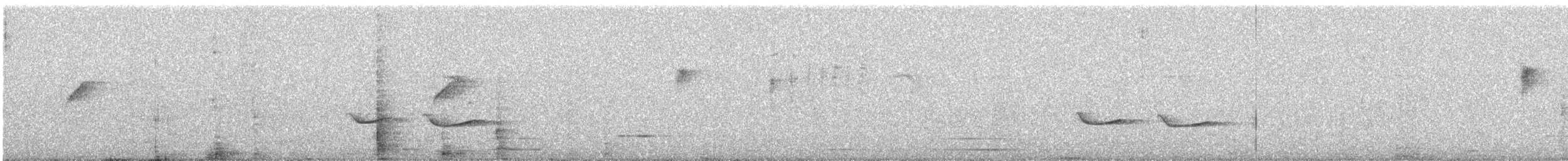 Common Iora - ML646961964