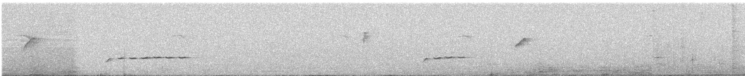 Common Iora - ML646961969