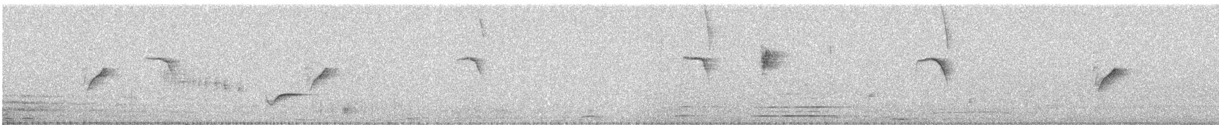 Purple Sunbird - ML646962006