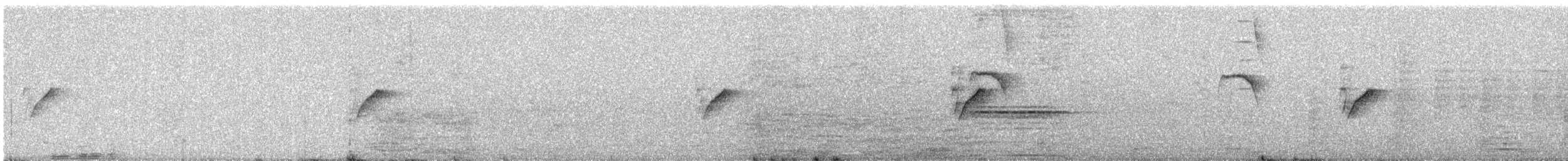 Purple Sunbird - ML646962010