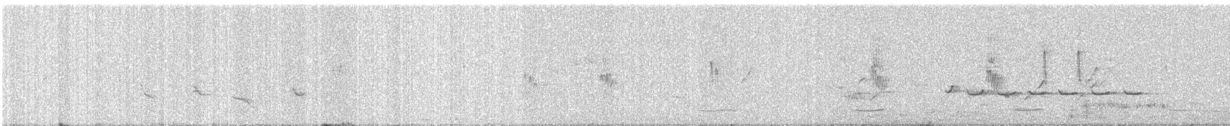 Common Iora - ML646962305