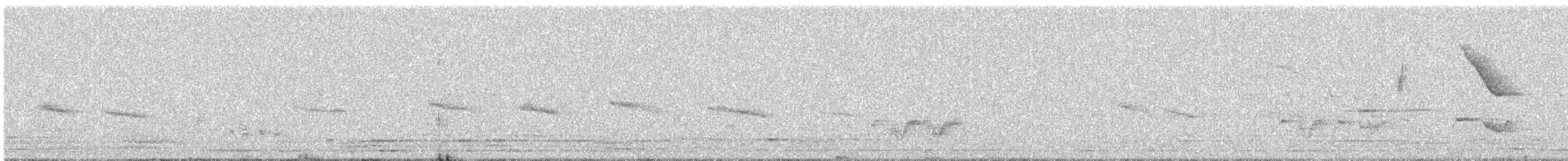 ムラサキタイヨウチョウ - ML646962394