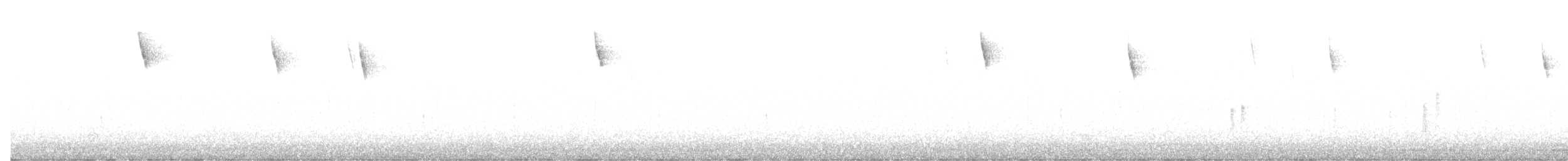 Zigolo muciatto - ML646962403