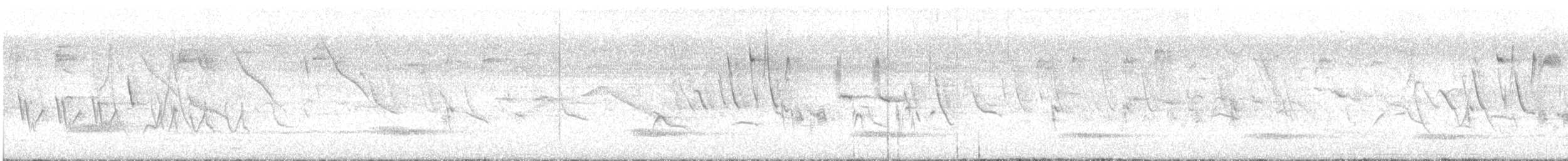 Tataupa Tinamou - ML646962859