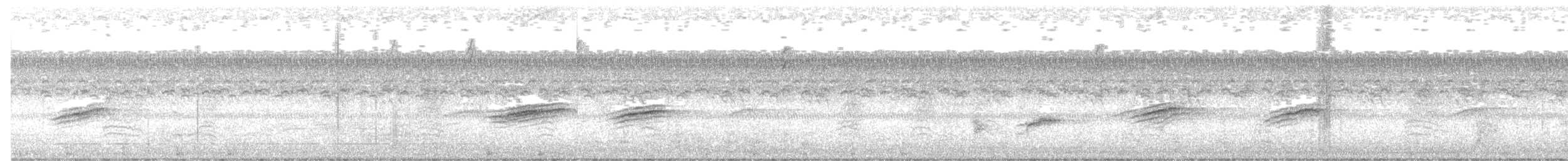 Тауї східний - ML646962936