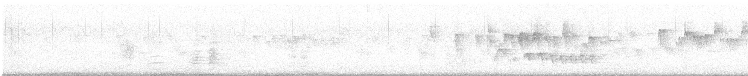 Sicksegler - ML646963245