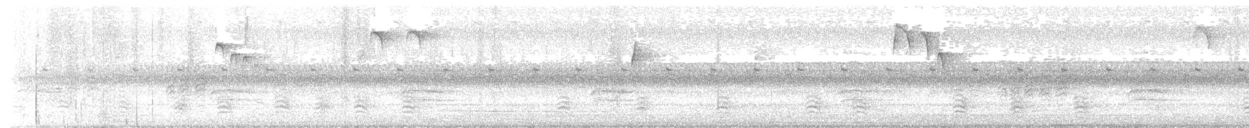 Повзик каролінський - ML646963490