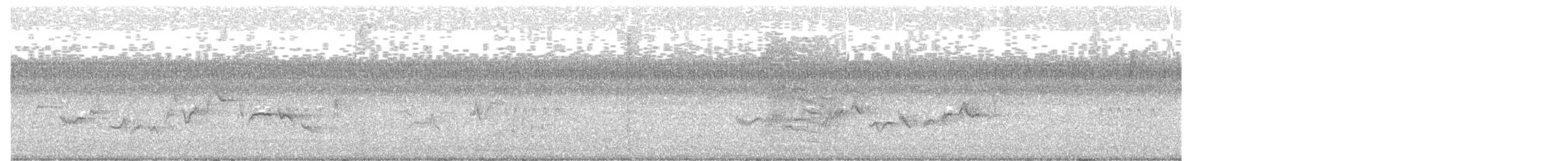 Eastern Warbling Vireo - ML646963730