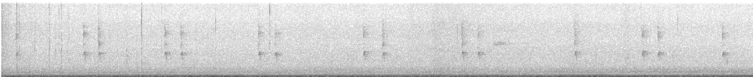 střízlík kanadský - ML646964076