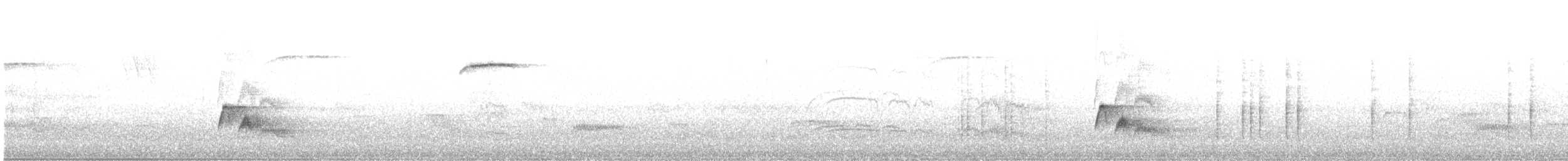 Weißkronen-Olivtyrann - ML646964443