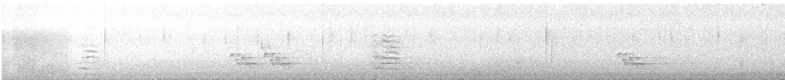 Carolinazaunkönig - ML646964527