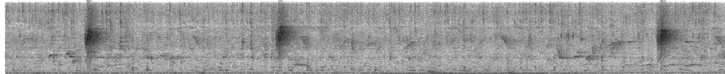 Schwarznackenmonarch - ML646964980