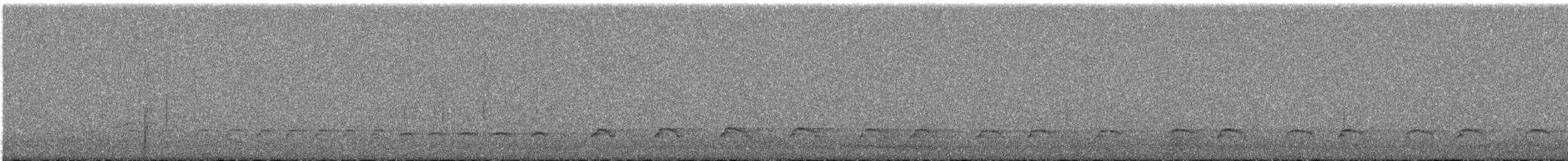 Spotted Thick-knee - ML646965316