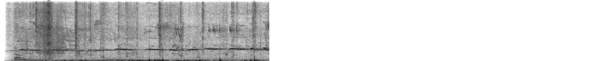 Banded Bay Cuckoo - ML646965330