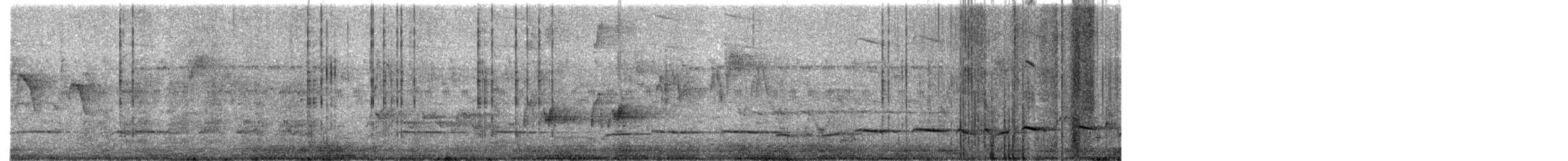 Banded Bay Cuckoo - ML646965331