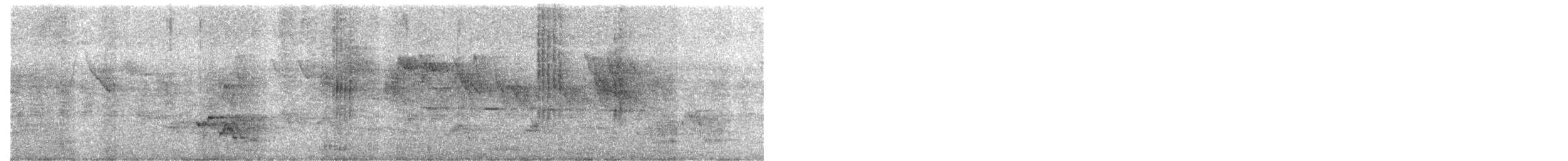 חטפית טאיגה - ML646965345